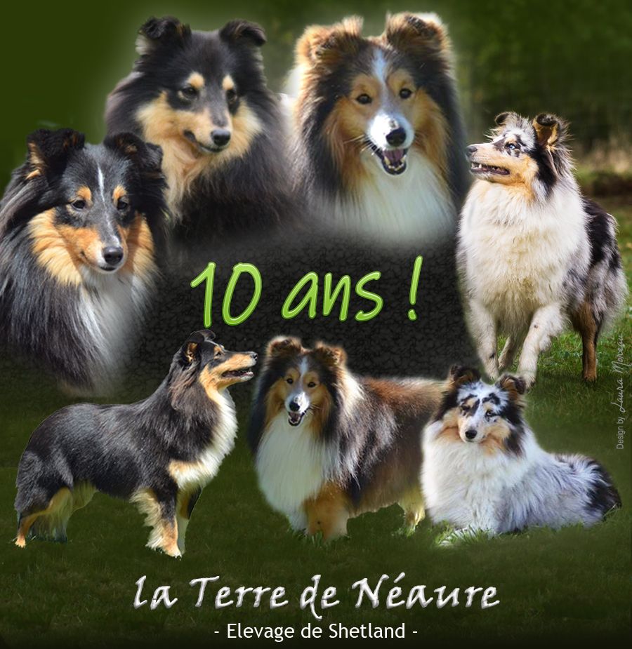 De La Terre De Neaure - 10 ans déjà