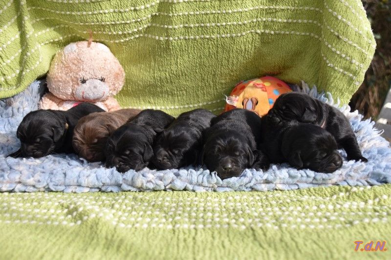 les prochains bébés.